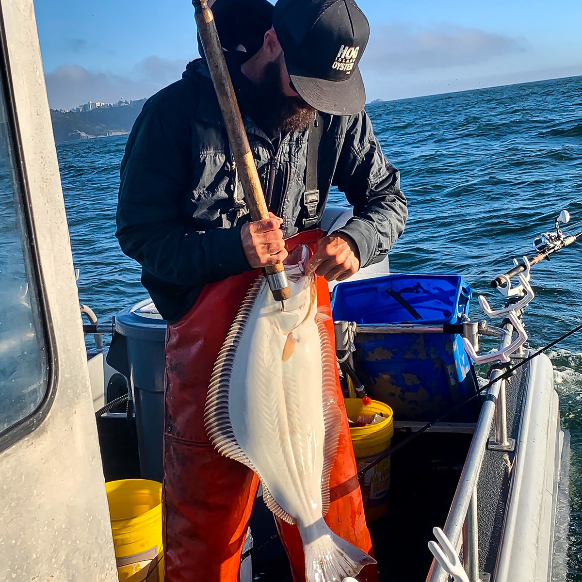 Local California Halibut Hog Island Oyster Co.