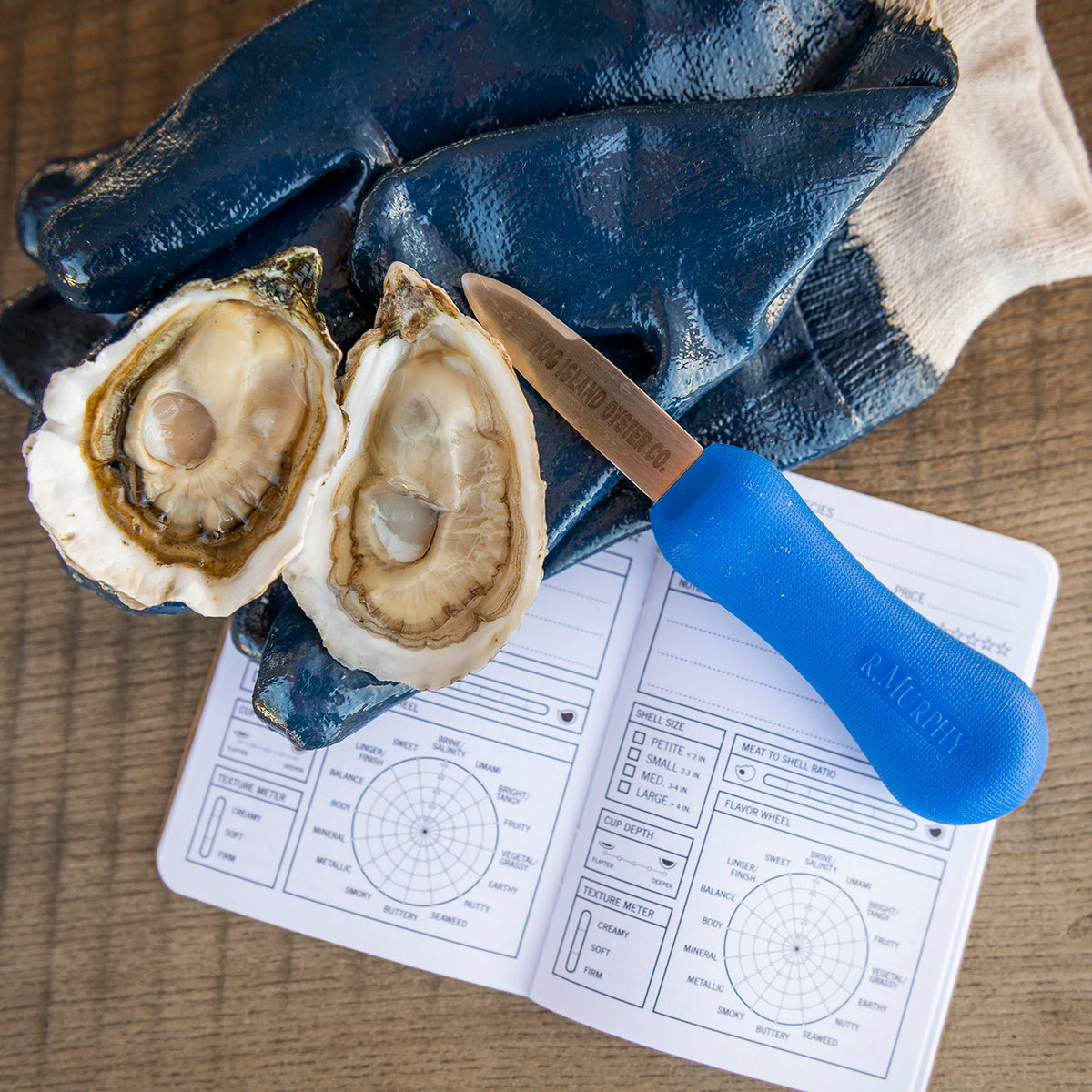 Beginner's Oyster Shucking Kit – Hog Island Oyster Co.