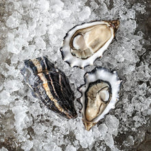 Load image into Gallery viewer, The Hog Island Oyster Club: Membership