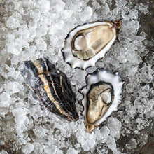 Load image into Gallery viewer, The Hog Island Oyster Club: 3-Month Gift Subscription
