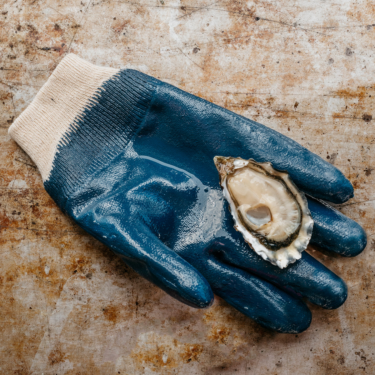 Shucking Gloves — Long Cove Sea Farm