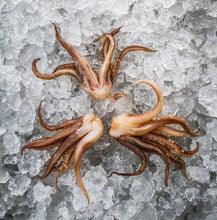 Load image into Gallery viewer, Wild Caught Monterey Bay Squid