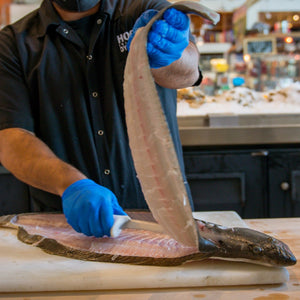 Local California Halibut