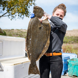 Local California Halibut