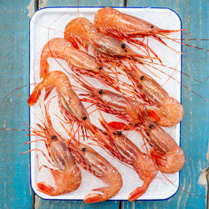 Wild Spot Prawns