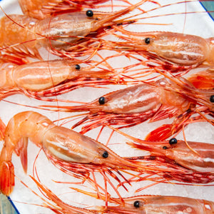 Wild Spot Prawns