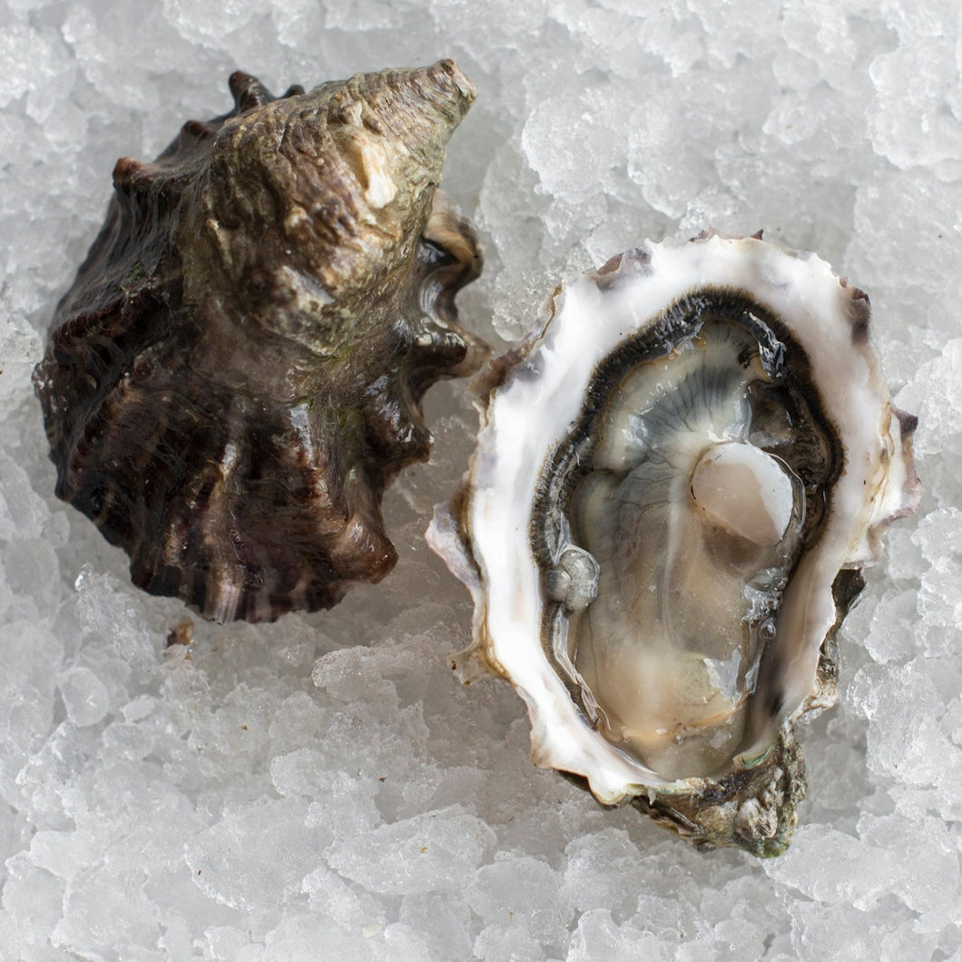 Totten Inlet Oysters (Extra Small)