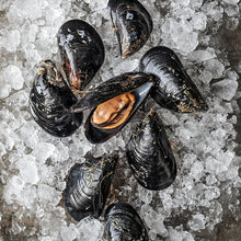 Load image into Gallery viewer, Mediterranean Mussels