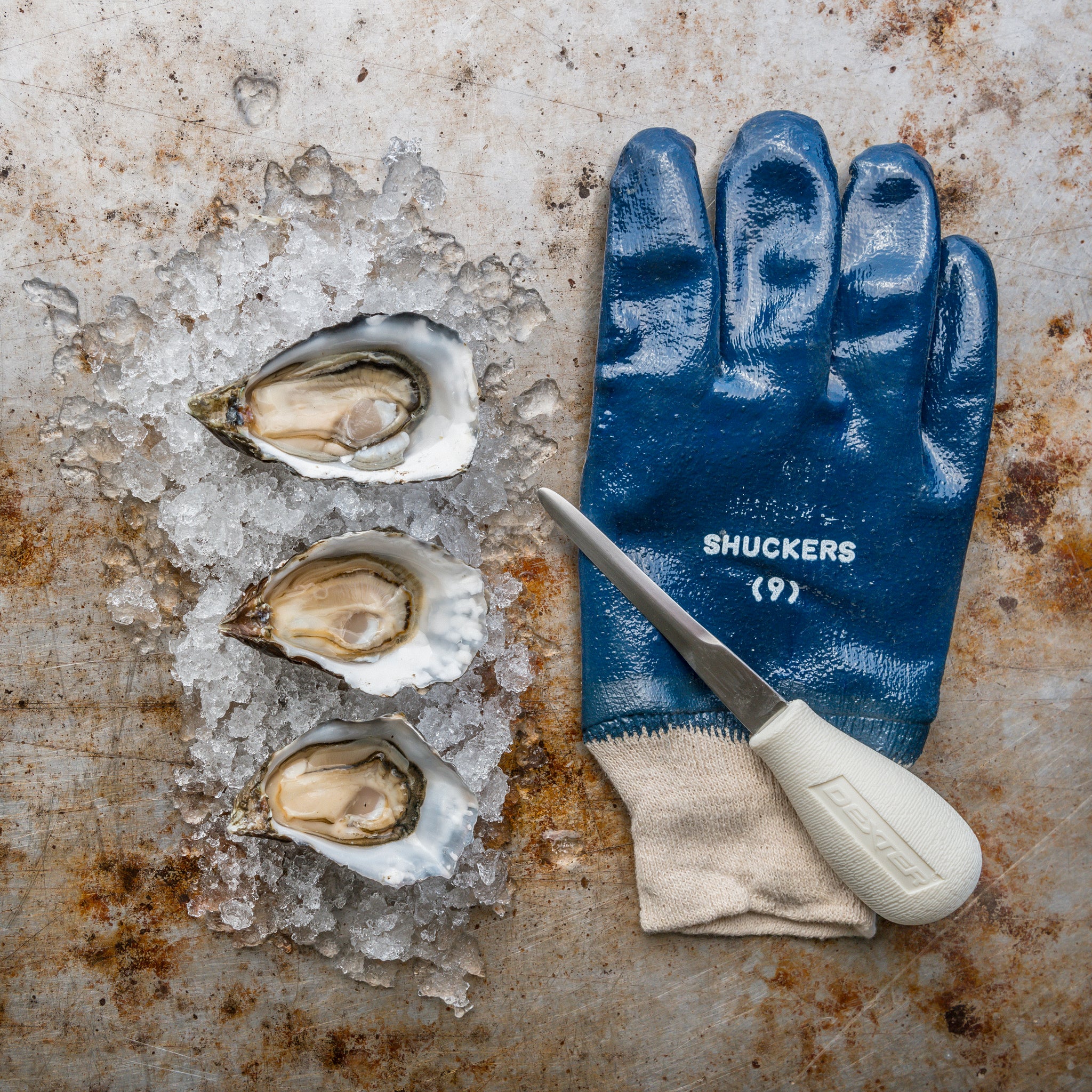Oyster Shucking Kit,Oyster Knife And Glove Set,Sturdy And