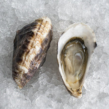 Load image into Gallery viewer, Chelsea Gem Oysters (Extra Small)