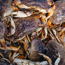 Load image into Gallery viewer, Local Dungeness Crab