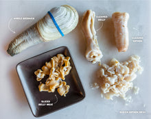Load image into Gallery viewer, Geoduck Clam