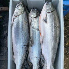 Load image into Gallery viewer, Local Salmon