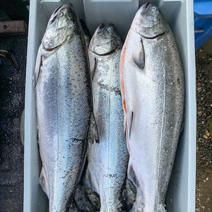 Local Salmon