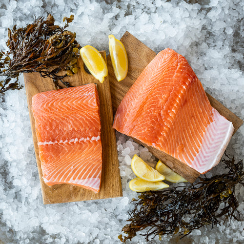 Wild King Salmon