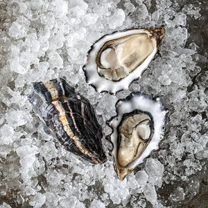 The Hog Island Oyster Club: 3-Month Gift Subscription