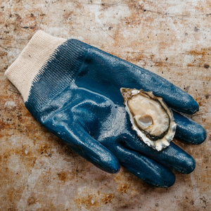 Oyster Shucking Gloves