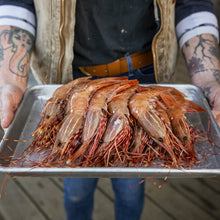 Load image into Gallery viewer, Wild Spot Prawns