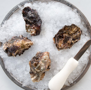 Totten Inlet Oysters (Extra Small)